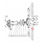 FLUIMAC P0050GA004807PP Шариковая обойма / BALL RUNNER CAGE P100 PP+VTR, насосов Phoenix P65 / Phoenix P100, поз. 13