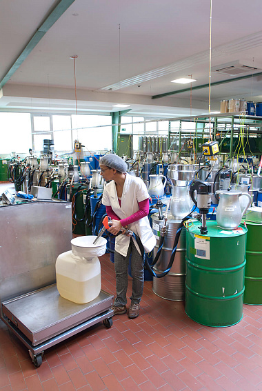 Бочковые насосы FLUX - Серии F/FP 430 c уплотнением вала Бочковые насосы FLUX - Серии F/FP 430 c уплотнением вала