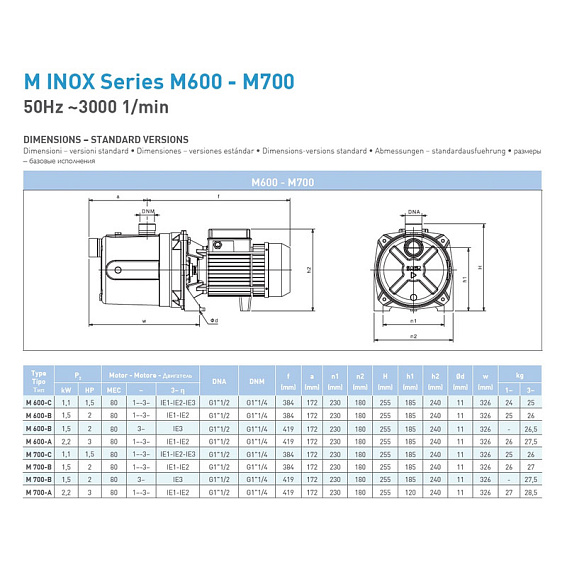 Самовсасывающий насос SAER M 600-A, 230 В Самовсасывающий насос SAER M 600-A, 230 В