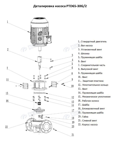 Насос в линию PURITY PTD 65-30G/2 (N) Насос в линию PURITY PTD 65-30G/2 (N)