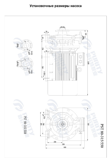 Консольно-моноблочный фланцевый насос PSTG 80-315/550 (N) Консольно-моноблочный фланцевый насос PSTG 80-315/550 (N)