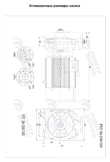Консольно-моноблочный фланцевый насос PSTG 50-250/185 (N) Консольно-моноблочный фланцевый насос PSTG 50-250/185 (N)