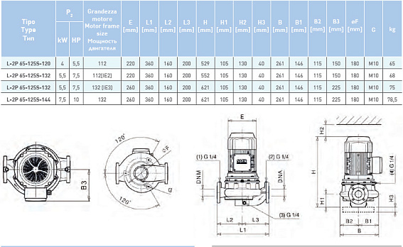 Циркуляционный насос In-Line SAER L-2P 65-125S-120 Циркуляционный насос In-Line SAER L-2P 65-125S-120