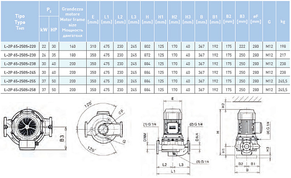 Циркуляционный насос In-Line SAER L-2P 65-250S-258 Циркуляционный насос In-Line SAER L-2P 65-250S-258
